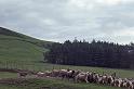 WT 2700 335-06 UK 1992-1